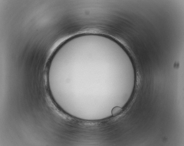 X0000111801078200908131431