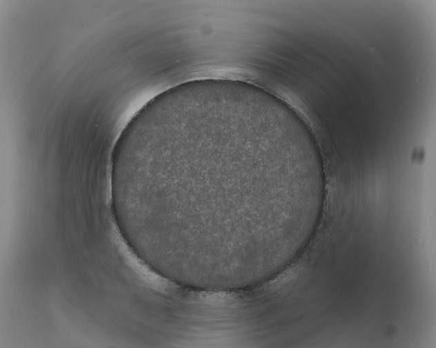 X0000111801079200908131431