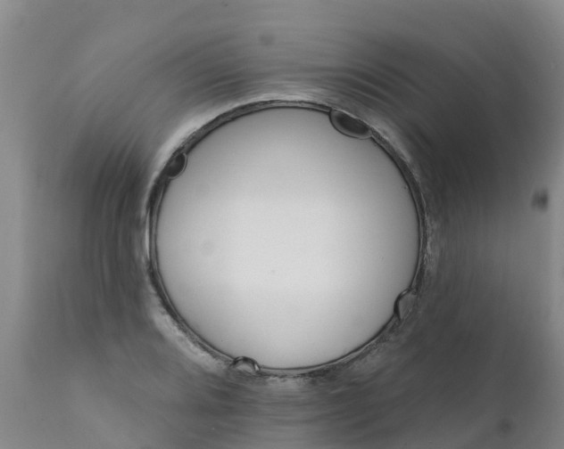 X0000111801080200908131430