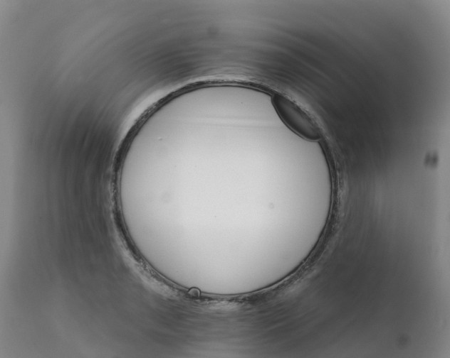 X0000111801085200908131430