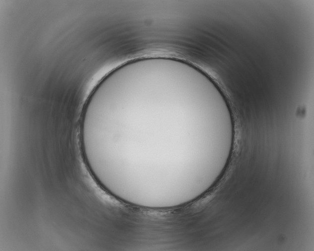 X0000111801086200908131430