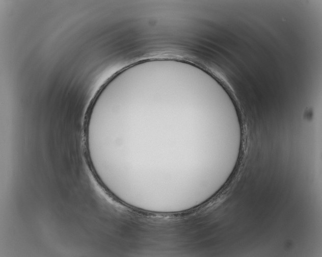 X0000111801087200908131430