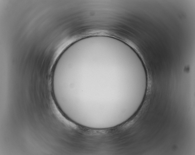 X0000111801090200908131430
