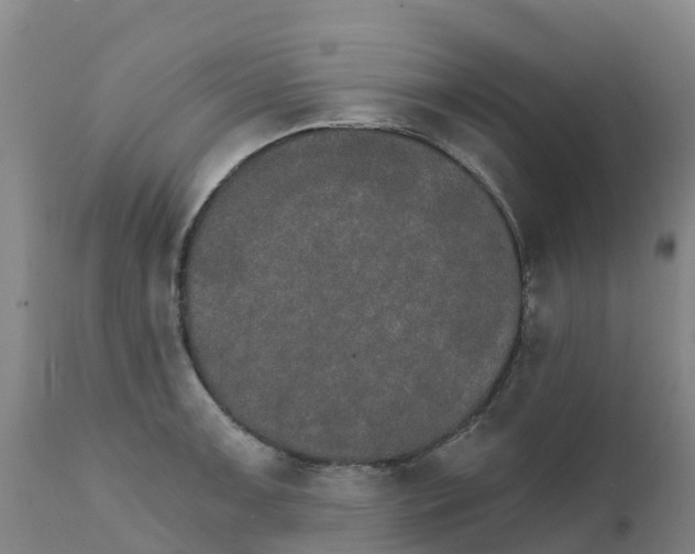 X0000111801091200908131430