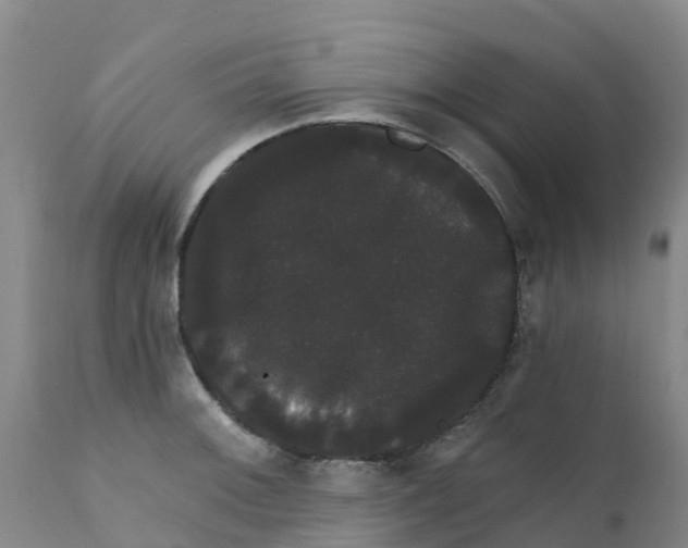 X0000111801092200908131430