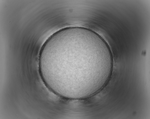 X0000111801093200908131430