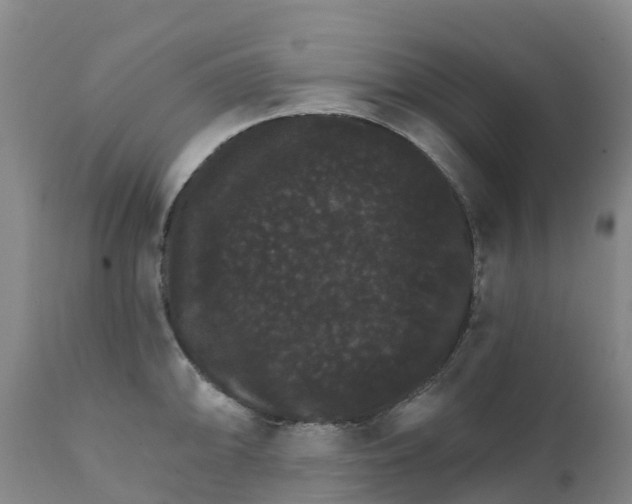 X0000111801094200908131430