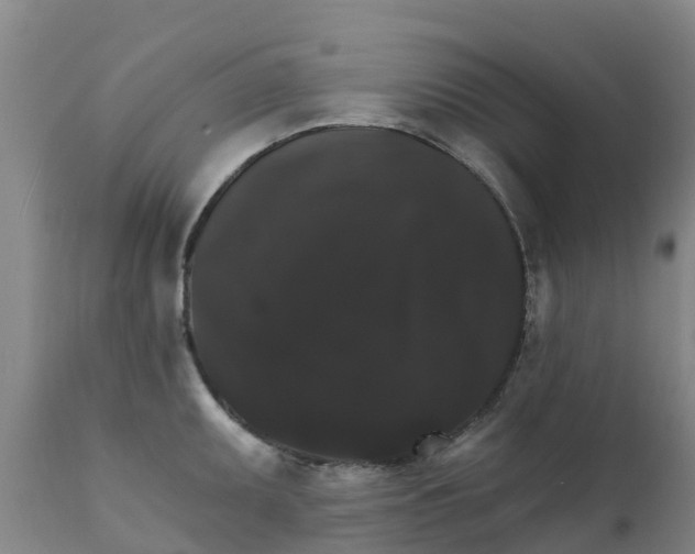 X0000111801095200908131430