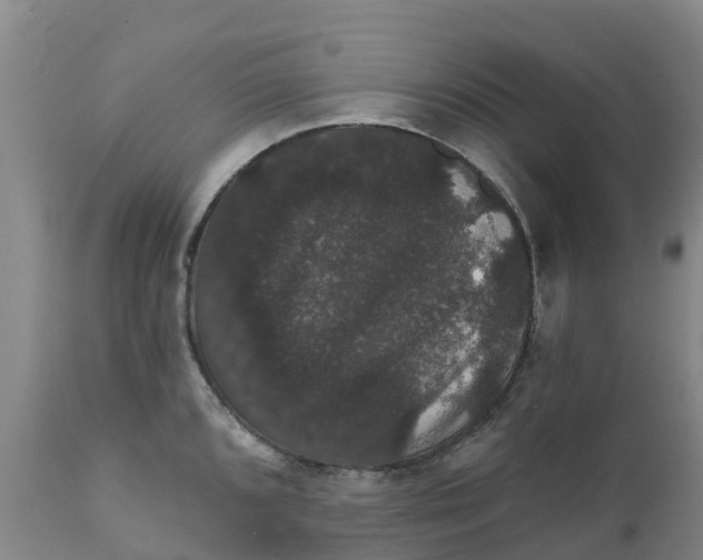 X0000111801096200908131430