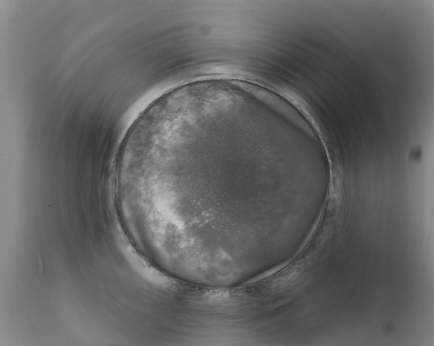 X0000111801098200908131430