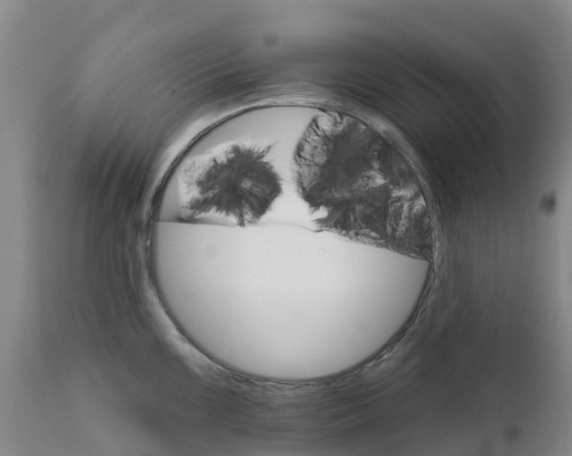 X0000111801099200908131430