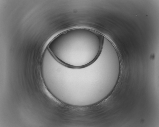 X0000111801100200908131430