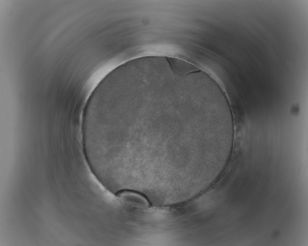 X0000111801103200908131430