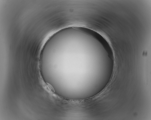 X0000111801104200908131430