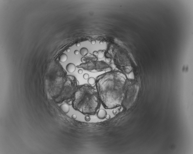 X0000111801105200908131429