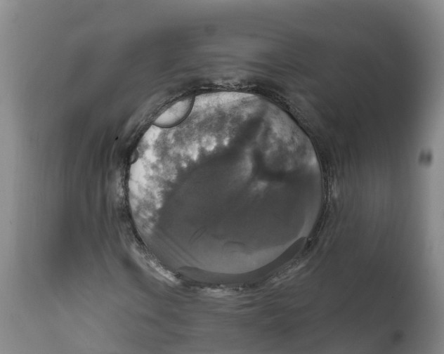 X0000111801106200908131430