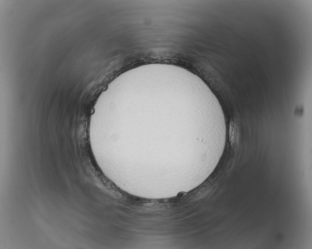 X0000111801107200908131430