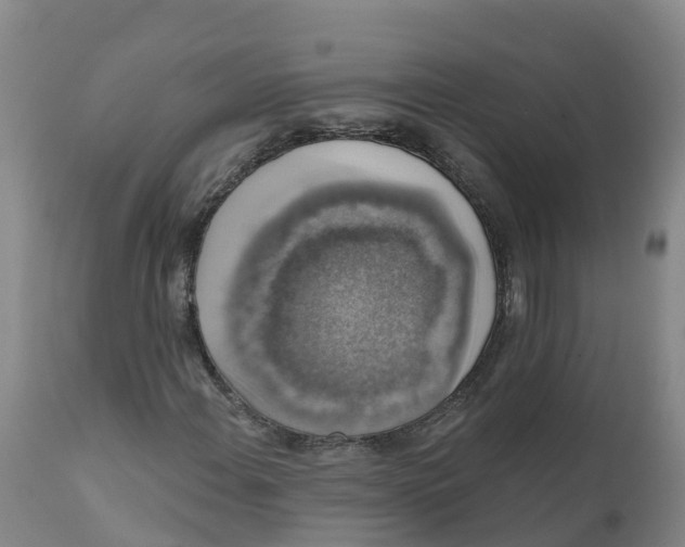 X0000111801108200908131430