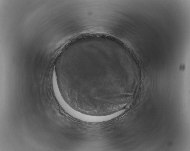 X0000111801110200908131430