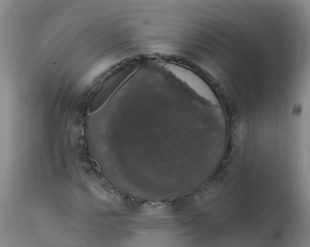 X0000111801112200908131430