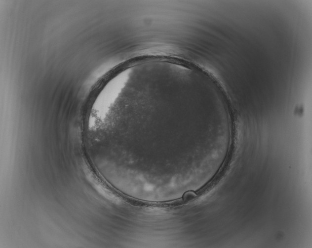 X0000111801114200908131430