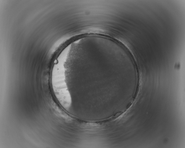 X0000111801115200908131430