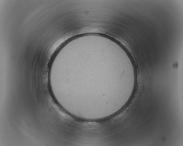 X0000111801119200908131430