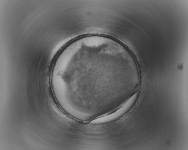 X0000111801120200908131430