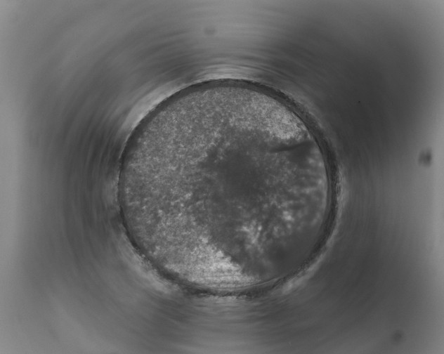 X0000111801121200908131430