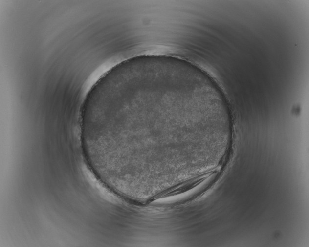 X0000111801122200908131430