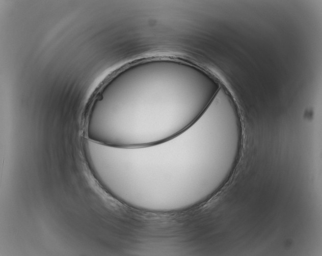 X0000111801124200908131430