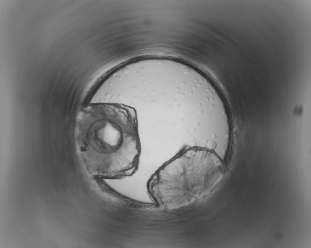 X0000111801125200908131430