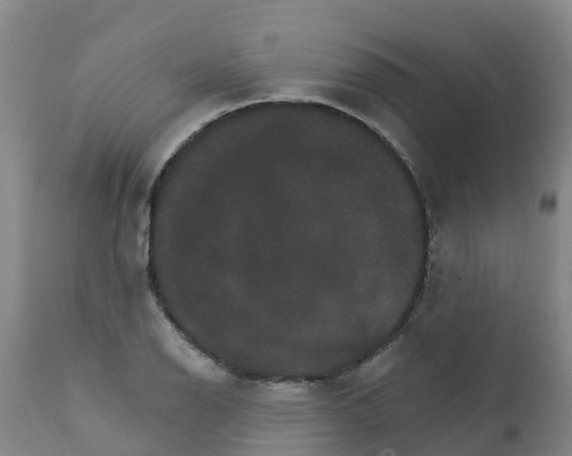 X0000111801126200908131430