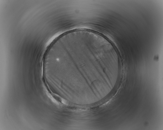 X0000111801127200908131430