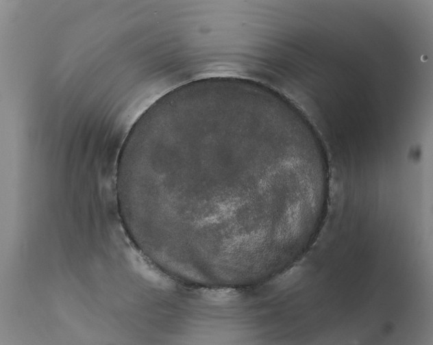 X0000111801129200908131430