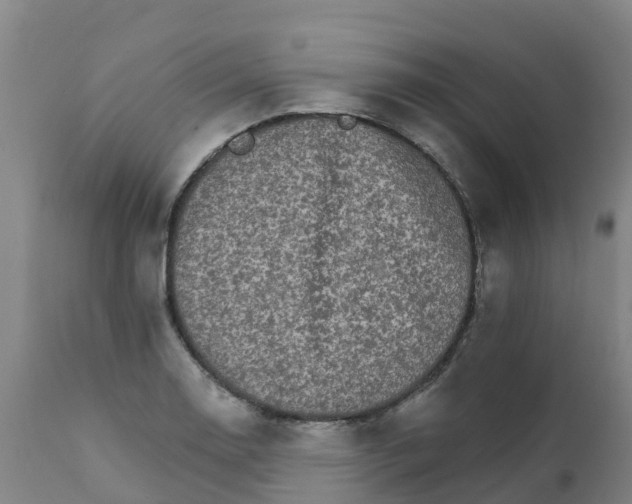 X0000111801130200908131430
