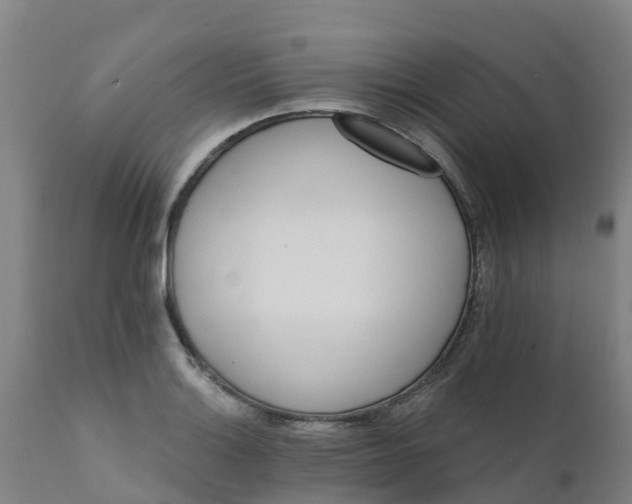 X0000111801132200908131430