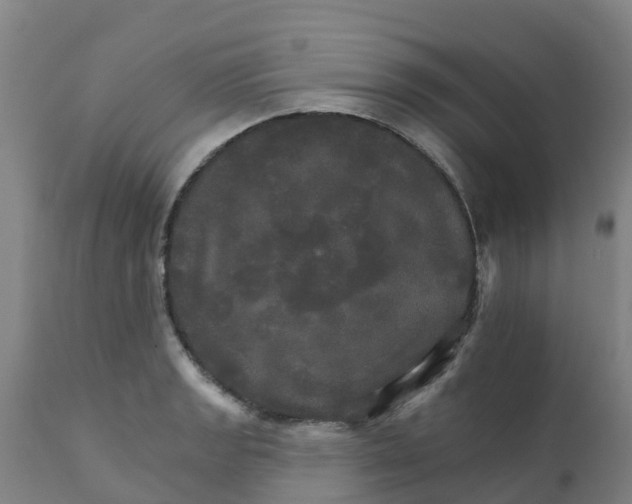 X0000111801133200908131430