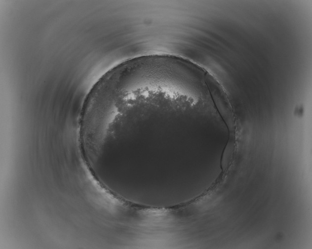 X0000111801134200908131430
