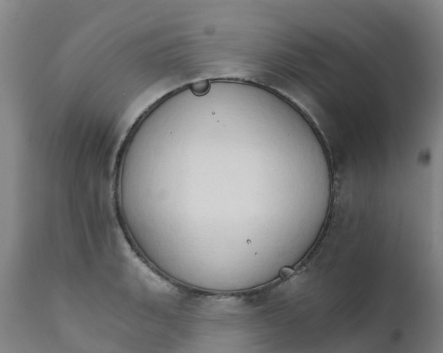 X0000111801135200908131430