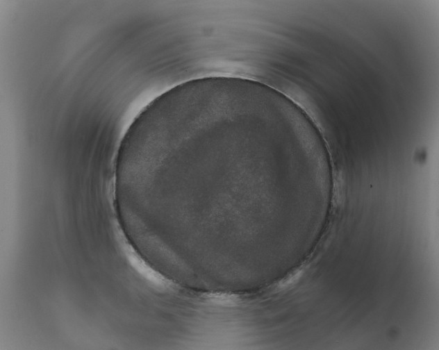 X0000111801136200908131430