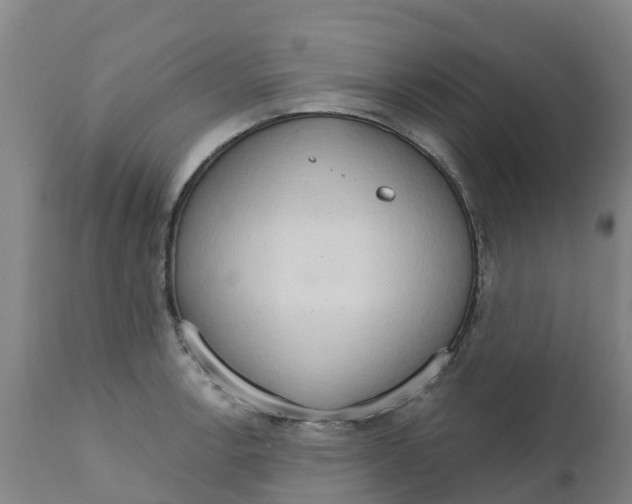 X0000111801138200908131430