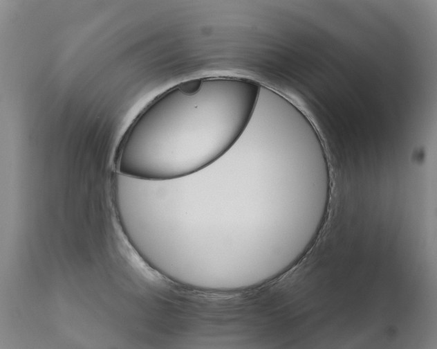 X0000111801140200908131430