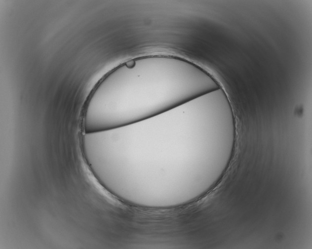 X0000111801142200908131430