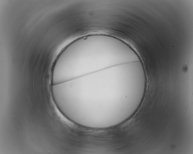 X0000111801143200908131430