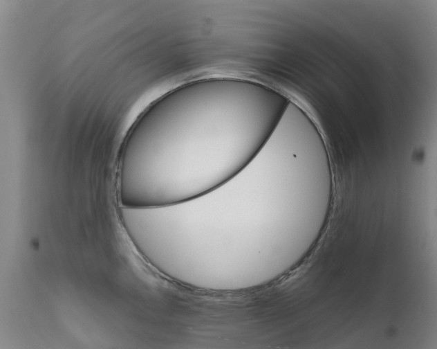 X0000111801146200908131430