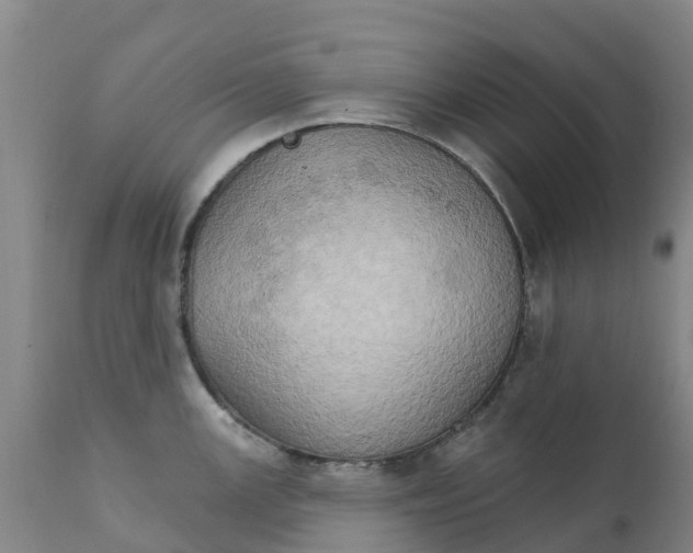X0000111801147200908131430