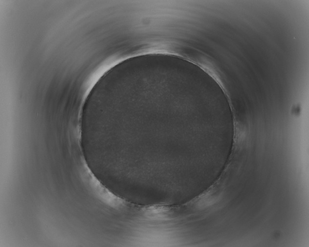 X0000111801148200908131430
