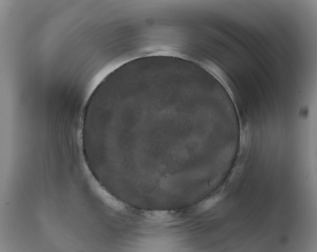 X0000111801149200908131430