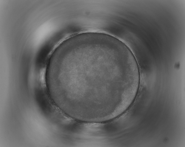 X0000111801150200908131430